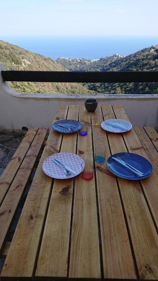 Appartement A Tana Di A Volpe à Ville-di-Pietrabugno Extérieur photo
